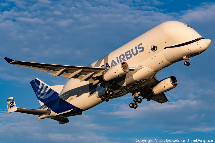 Airbus Transport International Airbus A330-743L Beluga XL (F-GXLH) | Photo 587043
