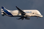 Airbus Transport International Airbus A330-743L Beluga XL (F-GXLH) at  Hamburg - Fuhlsbuettel (Helmut Schmidt), Germany