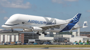 Airbus Transport International Airbus A330-743L Beluga XL (F-GXLH) at  Hamburg - Finkenwerder, Germany