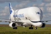 Airbus Transport International Airbus A330-743L Beluga XL (F-GXLH) at  Hamburg - Finkenwerder, Germany