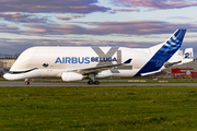 Airbus Transport International Airbus A330-743L Beluga XL (F-GXLH) at  Hamburg - Finkenwerder, Germany