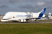 Airbus Transport International Airbus A330-743L Beluga XL (F-GXLH) at  Hamburg - Finkenwerder, Germany