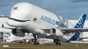 Airbus Transport International Airbus A330-743L Beluga XL (F-GXLH) at  Hamburg - Finkenwerder, Germany