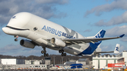 Airbus Transport International Airbus A330-743L Beluga XL (F-GXLH) at  Hamburg - Finkenwerder, Germany