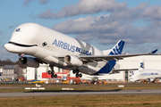 Airbus Transport International Airbus A330-743L Beluga XL (F-GXLH) at  Hamburg - Finkenwerder, Germany