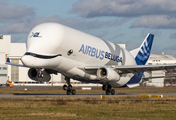 Airbus Transport International Airbus A330-743L Beluga XL (F-GXLH) at  Hamburg - Finkenwerder, Germany