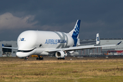 Airbus Transport International Airbus A330-743L Beluga XL (F-GXLH) at  Hamburg - Finkenwerder, Germany