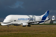 Airbus Transport International Airbus A330-743L Beluga XL (F-GXLH) at  Hamburg - Finkenwerder, Germany