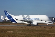 Airbus Transport International Airbus A330-743L Beluga XL (F-GXLH) at  Hamburg - Finkenwerder, Germany