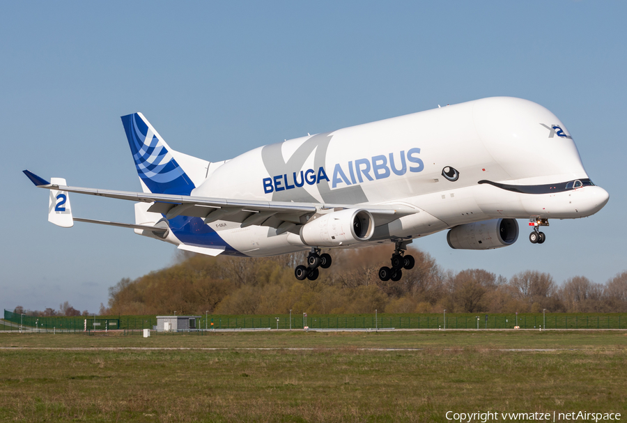 Airbus Transport International Airbus A330-743L Beluga XL (F-GXLH) | Photo 442693