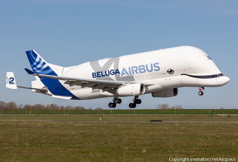 Airbus Transport International Airbus A330-743L Beluga XL (F-GXLH) | Photo 442694