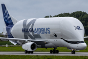 Airbus Transport International Airbus A330-743L Beluga XL (F-GXLH) at  Hamburg - Finkenwerder, Germany