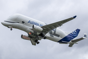 Airbus Transport International Airbus A330-743L Beluga XL (F-GXLH) at  Hamburg - Finkenwerder, Germany