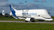 Airbus Transport International Airbus A330-743L Beluga XL (F-GXLH) at  Hamburg - Finkenwerder, Germany