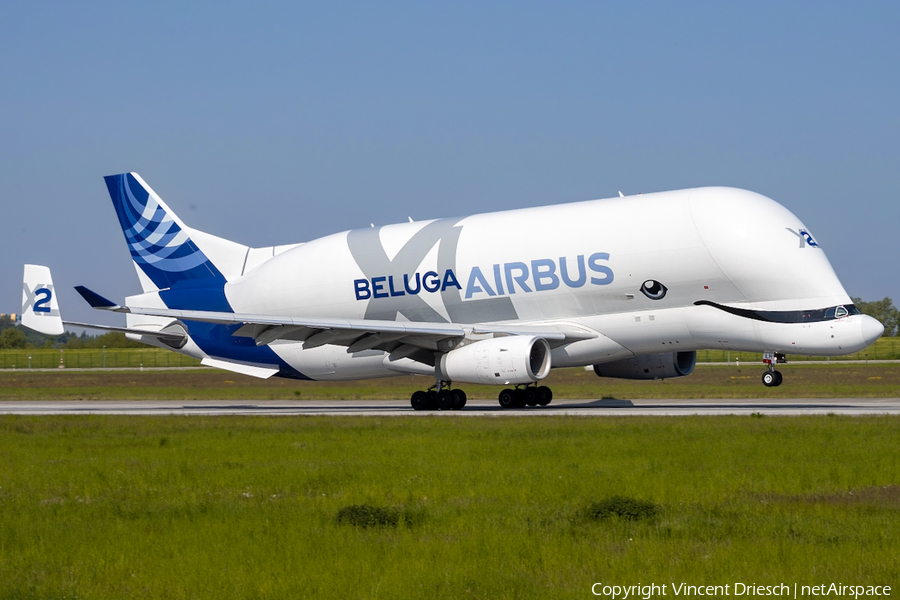 Airbus Transport International Airbus A330-743L Beluga XL (F-GXLH) | Photo 570376