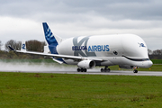 Airbus Transport International Airbus A330-743L Beluga XL (F-GXLH) at  Hamburg - Finkenwerder, Germany