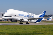 Airbus Transport International Airbus A330-743L Beluga XL (F-GXLH) at  Hamburg - Finkenwerder, Germany