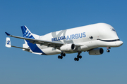 Airbus Transport International Airbus A330-743L Beluga XL (F-GXLH) at  Hamburg - Finkenwerder, Germany