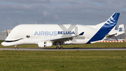 Airbus Transport International Airbus A330-743L Beluga XL (F-GXLH) at  Hamburg - Finkenwerder, Germany