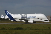 Airbus Transport International Airbus A330-743L Beluga XL (F-GXLH) at  Hamburg - Finkenwerder, Germany