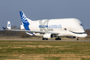 Airbus Transport International Airbus A330-743L Beluga XL (F-GXLH) at  Hamburg - Finkenwerder, Germany