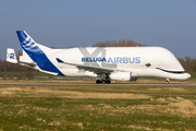 Airbus Transport International Airbus A330-743L Beluga XL (F-GXLH) at  Hamburg - Finkenwerder, Germany