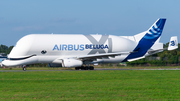 Airbus Transport International Airbus A330-743L Beluga XL (F-GXLI) at  Bremen, Germany