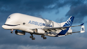 Airbus Transport International Airbus A330-743L Beluga XL (F-GXLI) at  Bremen, Germany