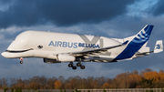 Airbus Transport International Airbus A330-743L Beluga XL (F-GXLI) at  Bremen, Germany