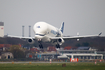 Airbus Transport International Airbus A330-743L Beluga XL (F-GXLI) at  Bremen, Germany