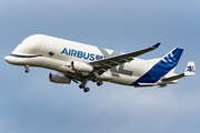 Airbus Transport International Airbus A330-743L Beluga XL (F-GXLI) at  Hamburg - Finkenwerder, Germany