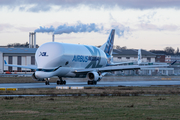 Airbus Transport International Airbus A330-743L Beluga XL (F-GXLI) at  Hamburg - Finkenwerder, Germany