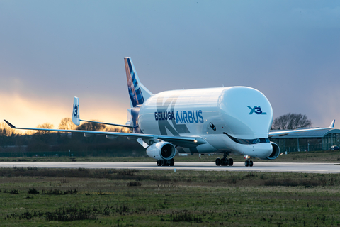 Airbus Transport International Airbus A330-743L Beluga XL (F-GXLI) at  Hamburg - Finkenwerder, Germany