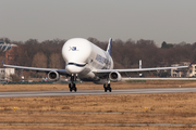 Airbus Transport International Airbus A330-743L Beluga XL (F-GXLI) at  Hamburg - Finkenwerder, Germany