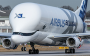 Airbus Transport International Airbus A330-743L Beluga XL (F-GXLI) at  Hamburg - Finkenwerder, Germany