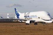 Airbus Transport International Airbus A330-743L Beluga XL (F-GXLI) at  Hamburg - Finkenwerder, Germany