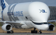 Airbus Transport International Airbus A330-743L Beluga XL (F-GXLI) at  Hamburg - Finkenwerder, Germany