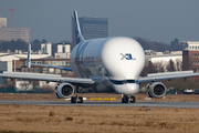 Airbus Transport International Airbus A330-743L Beluga XL (F-GXLI) at  Hamburg - Finkenwerder, Germany