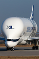 Airbus Transport International Airbus A330-743L Beluga XL (F-GXLI) at  Hamburg - Finkenwerder, Germany