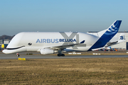 Airbus Transport International Airbus A330-743L Beluga XL (F-GXLI) at  Hamburg - Finkenwerder, Germany