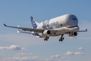 Airbus Transport International Airbus A330-743L Beluga XL (F-GXLI) at  Hamburg - Finkenwerder, Germany