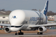 Airbus Transport International Airbus A330-743L Beluga XL (F-GXLI) at  Hamburg - Finkenwerder, Germany