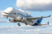 Airbus Transport International Airbus A330-743L Beluga XL (F-GXLI) at  Hamburg - Finkenwerder, Germany