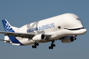 Airbus Transport International Airbus A330-743L Beluga XL (F-GXLI) at  Hamburg - Finkenwerder, Germany