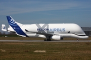 Airbus Transport International Airbus A330-743L Beluga XL (F-GXLI) at  Hamburg - Finkenwerder, Germany