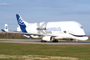 Airbus Transport International Airbus A330-743L Beluga XL (F-GXLI) at  Hamburg - Finkenwerder, Germany