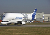 Airbus Transport International Airbus A330-743L Beluga XL (F-GXLI) at  Hamburg - Finkenwerder, Germany