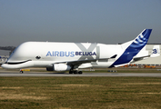 Airbus Transport International Airbus A330-743L Beluga XL (F-GXLI) at  Hamburg - Finkenwerder, Germany