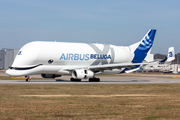 Airbus Transport International Airbus A330-743L Beluga XL (F-GXLI) at  Hamburg - Finkenwerder, Germany