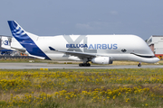 Airbus Transport International Airbus A330-743L Beluga XL (F-GXLI) at  Hamburg - Finkenwerder, Germany